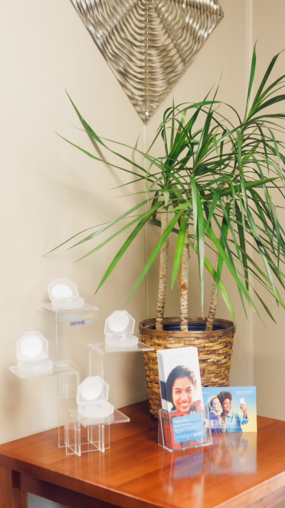 Tall leafy plant in a woven basket sits on a wooden table beside clear acrylic brochure stands in an office setting.